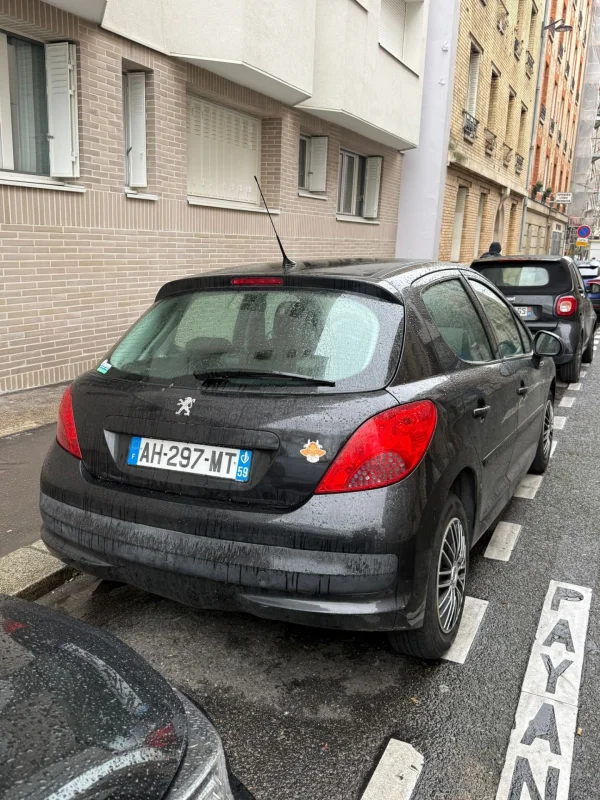 Peugeot 207 