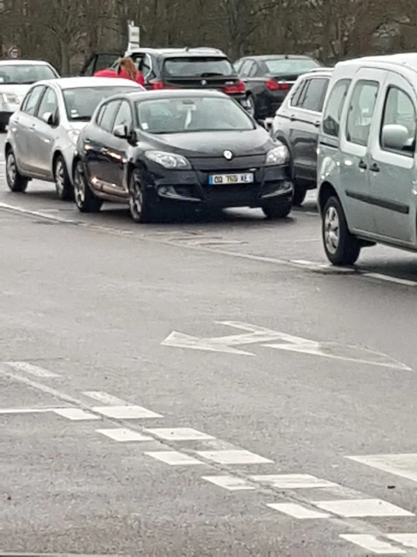Renault Mégane 3 GT 180 - Essence 5 Portes