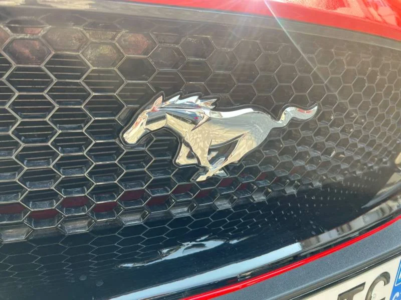 Ford Mustang — photo 6