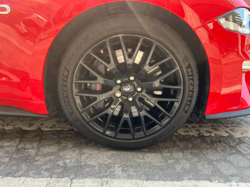 Ford Mustang — photo 8