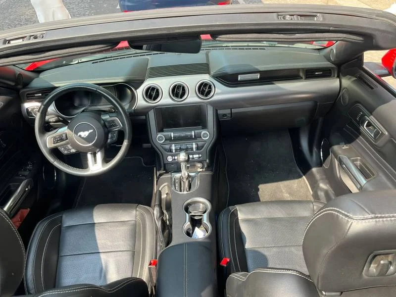 Ford Mustang — photo 5